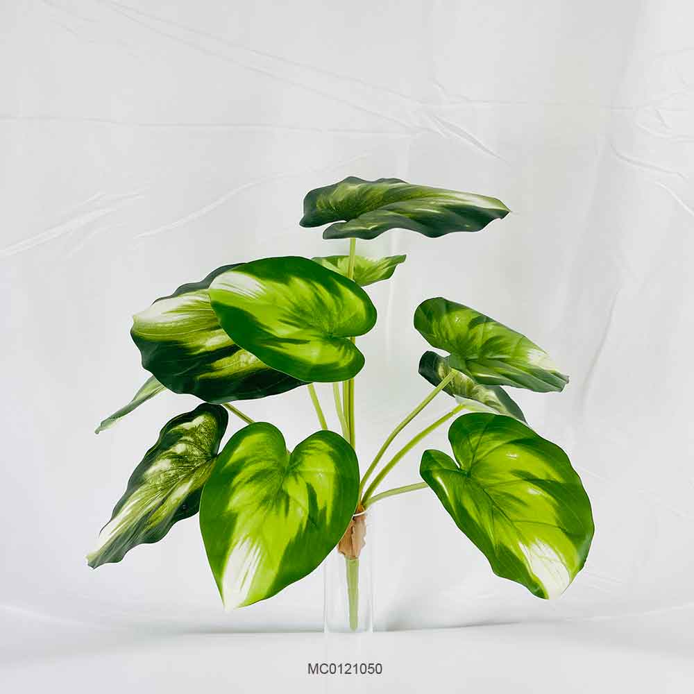 Monstera Stem