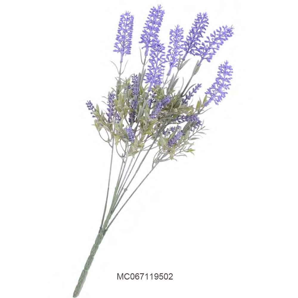 Lavender Stem Series B