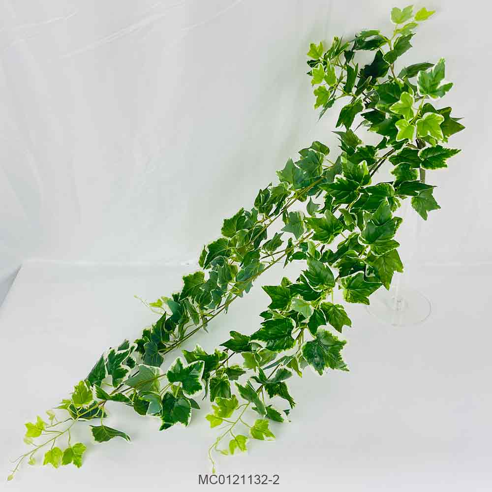 Ivy Stem Series E