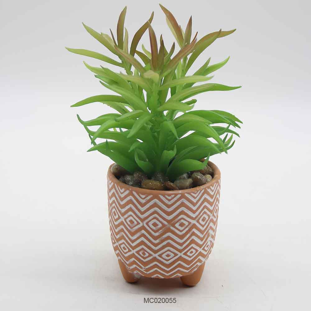 Succulent with Pot Series D