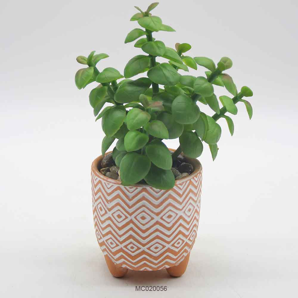 Succulent with Pot Series D