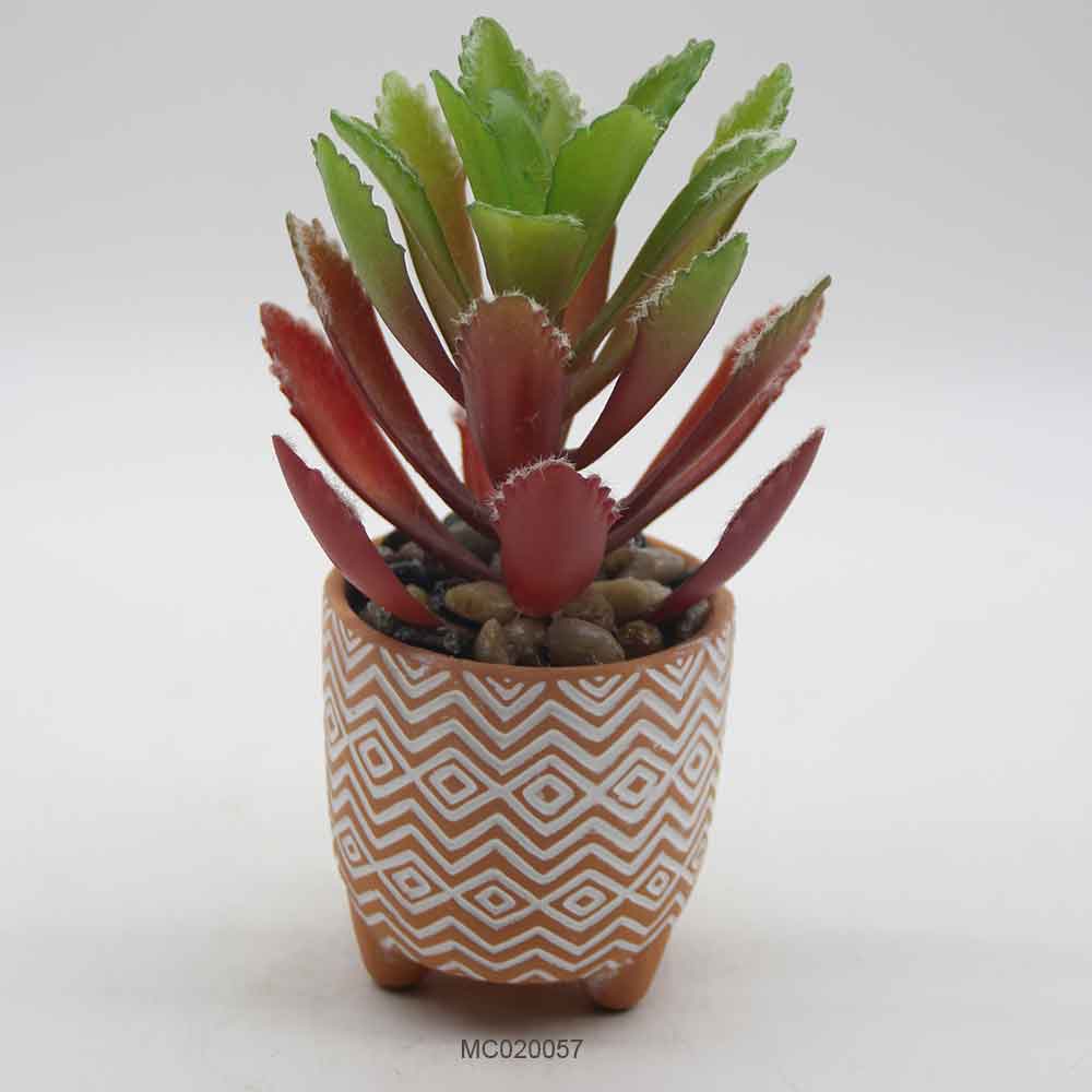 Succulent with Pot Series D