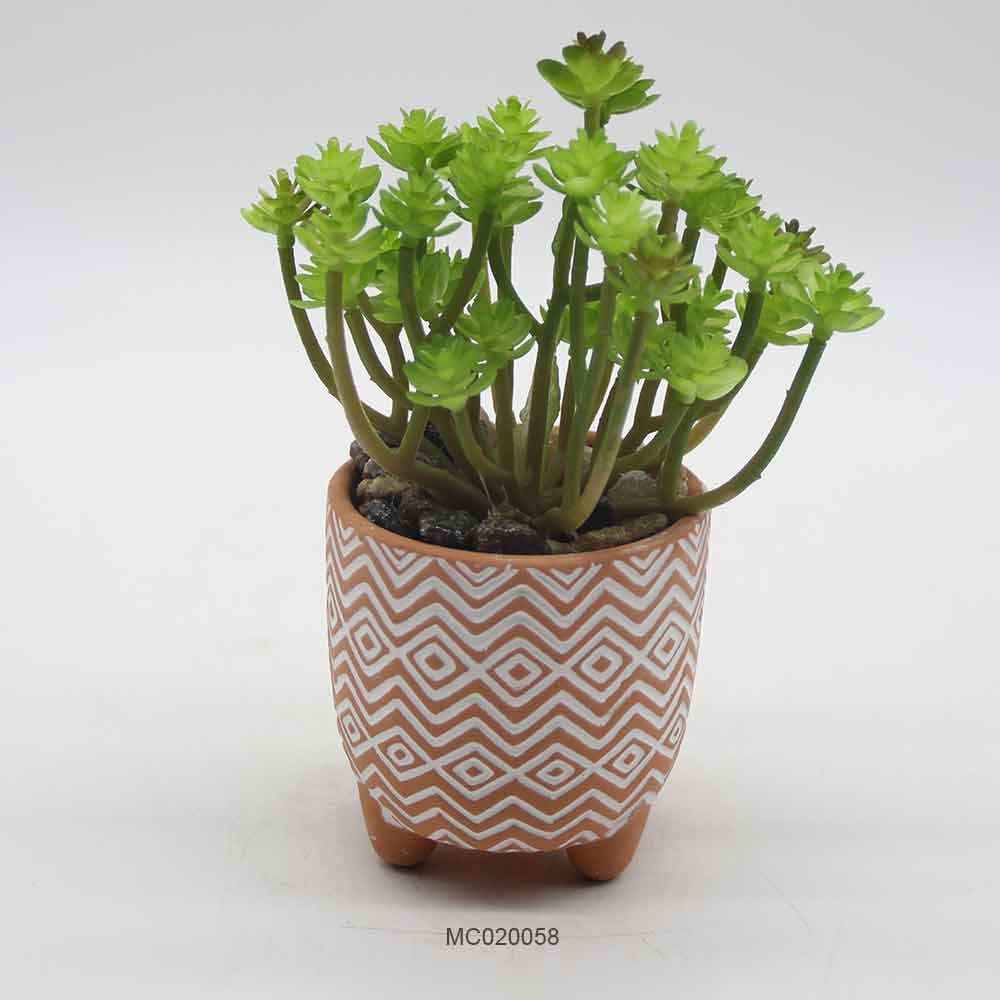 Succulent with Pot Series D