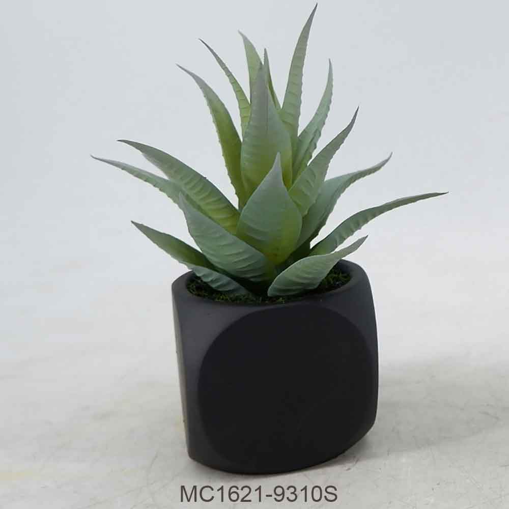 MC21-9310S Agave