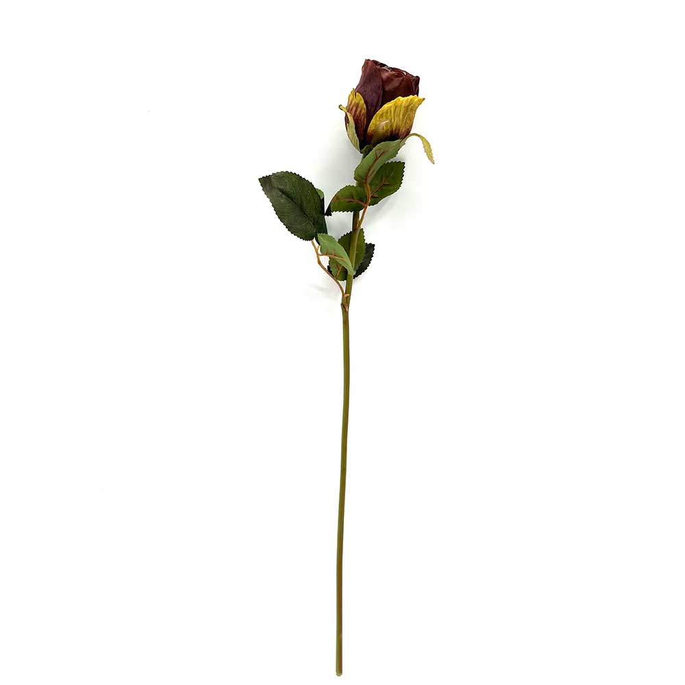 MC22-04001 Rose Stem