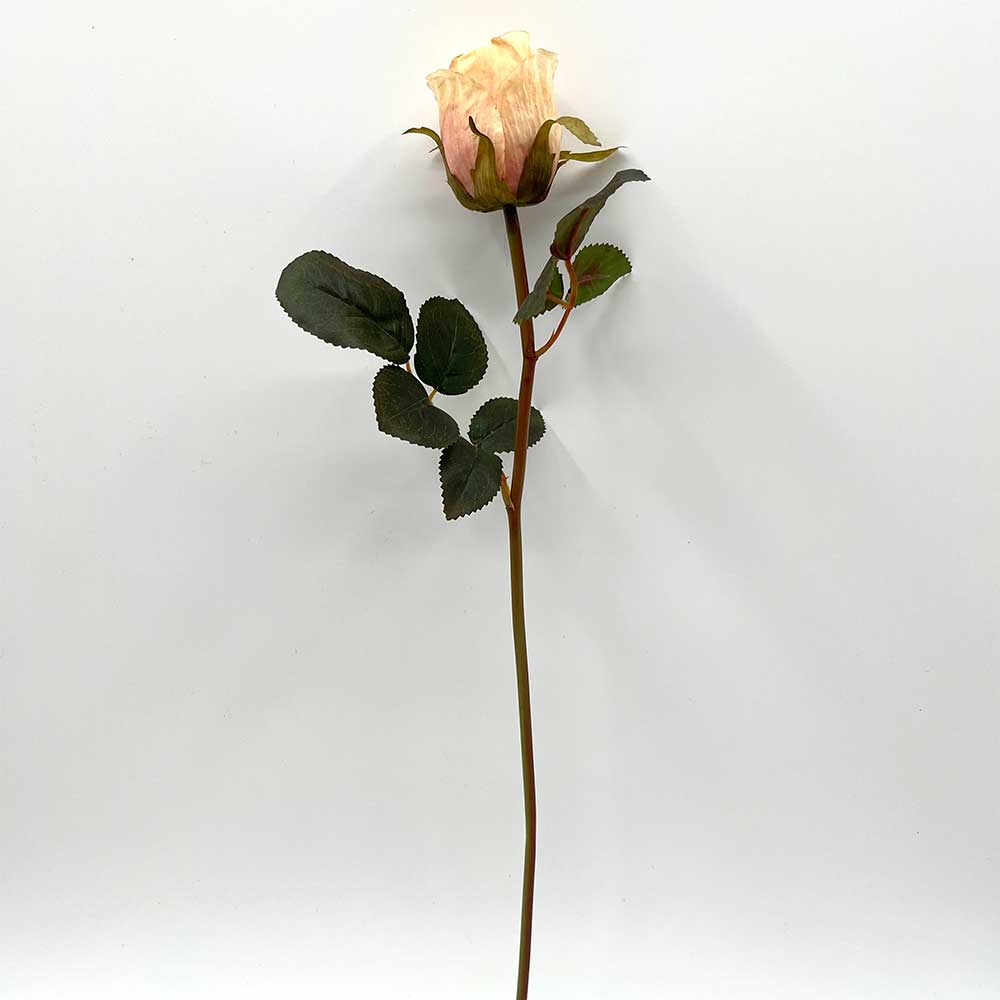 MC22-04001 Rose Stem