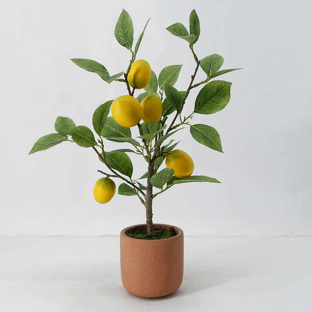 MC19-7925S Lemon tree