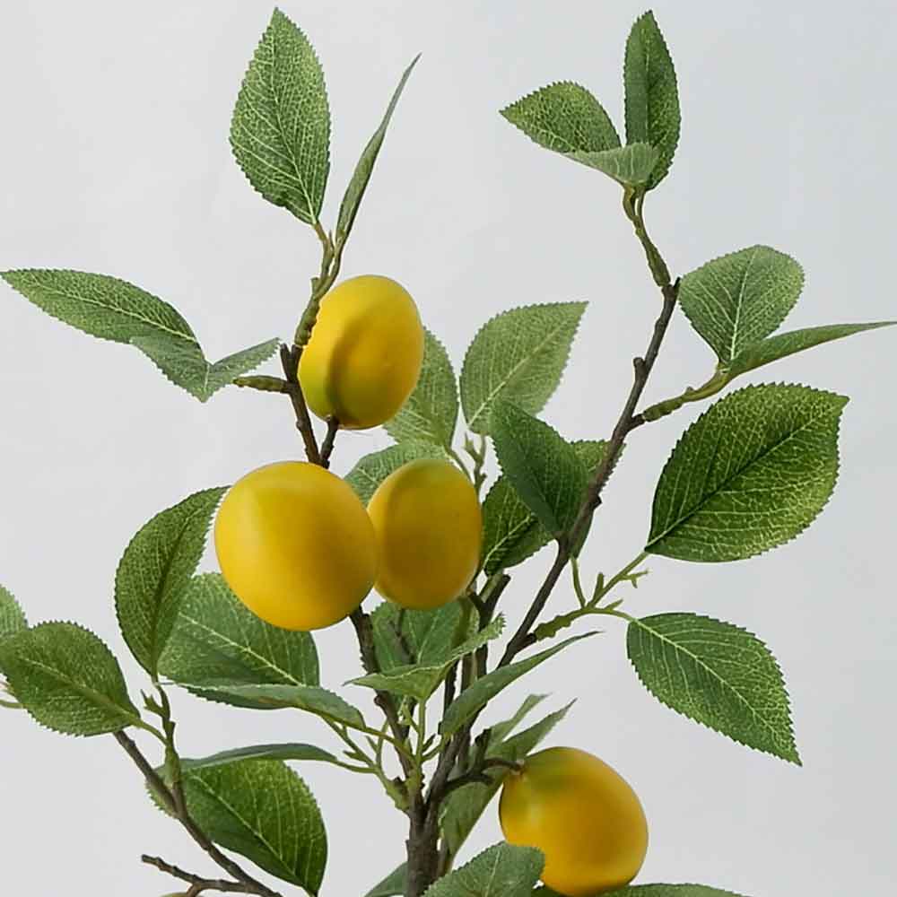 MC19-7925S Lemon tree