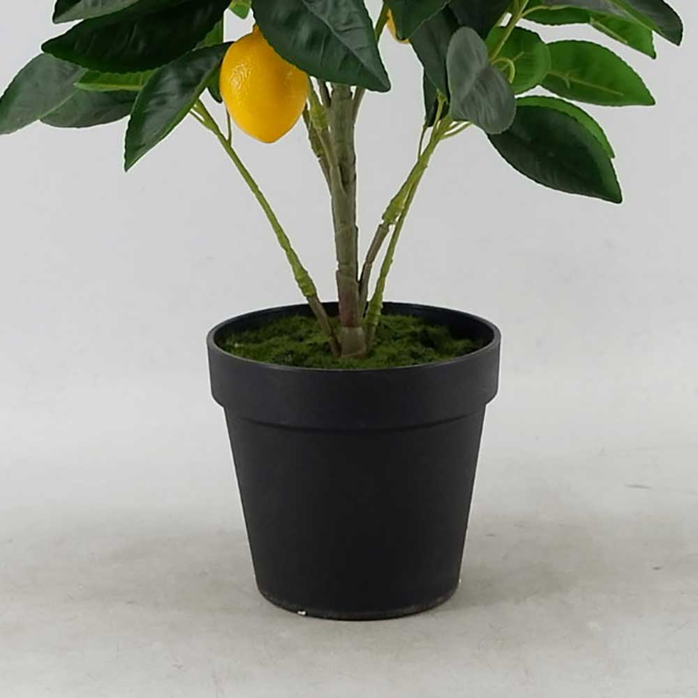 MC21-10655J Lemon tree