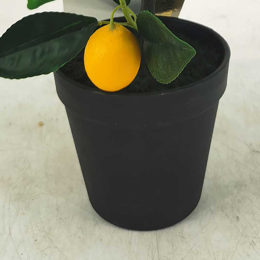 MC21-10864J Lemon tree