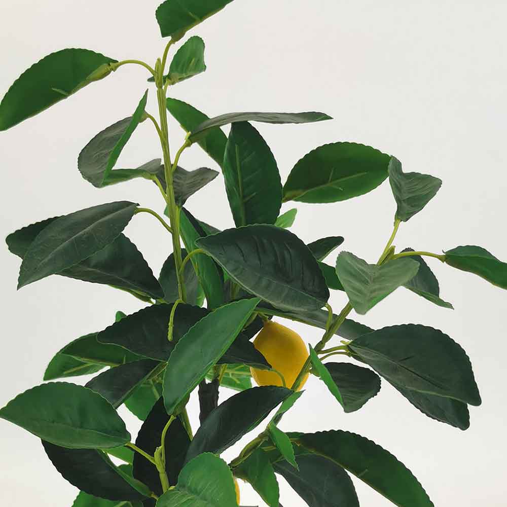 MC21-10864J Lemon tree