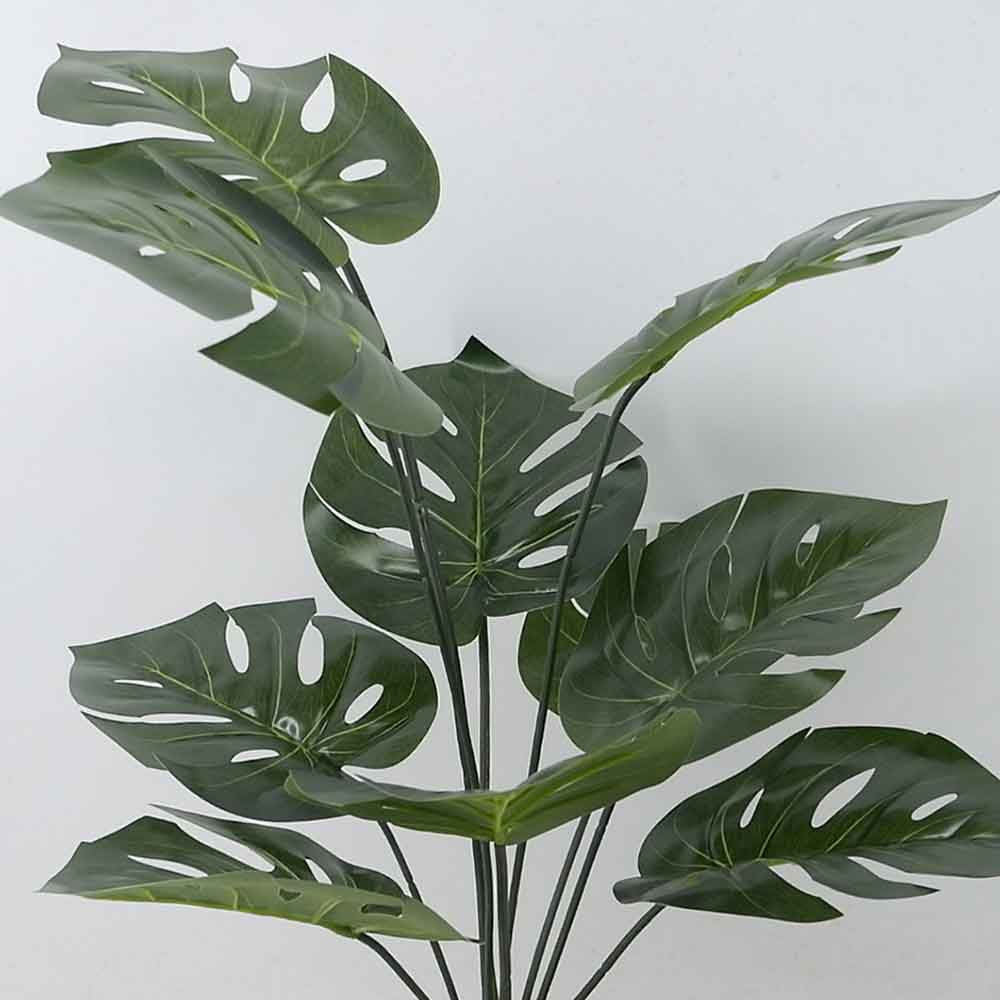 MC21-10501S Monstera