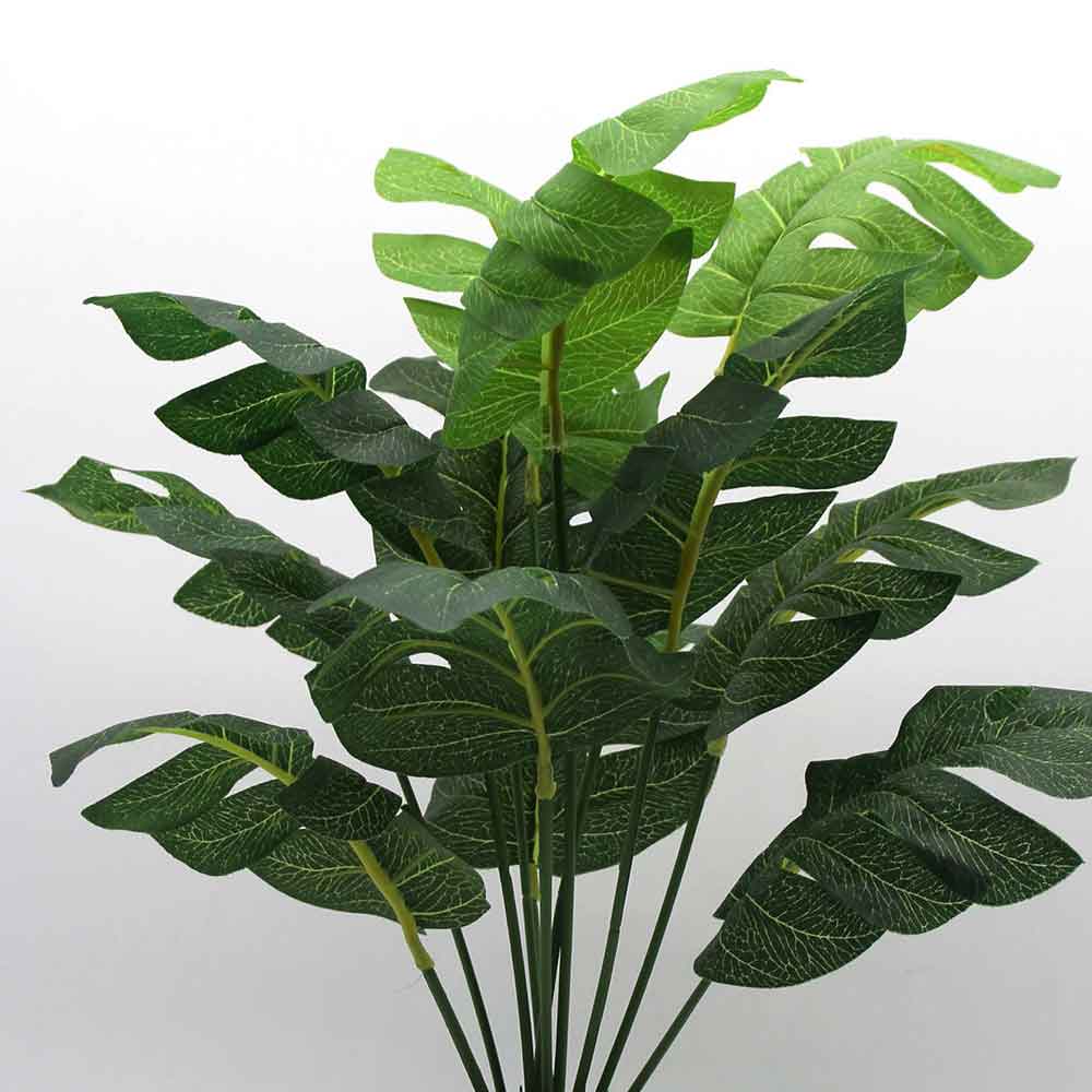 MC0216 Monstera