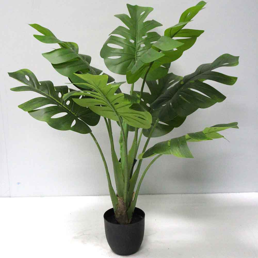 MC2742 Monstera