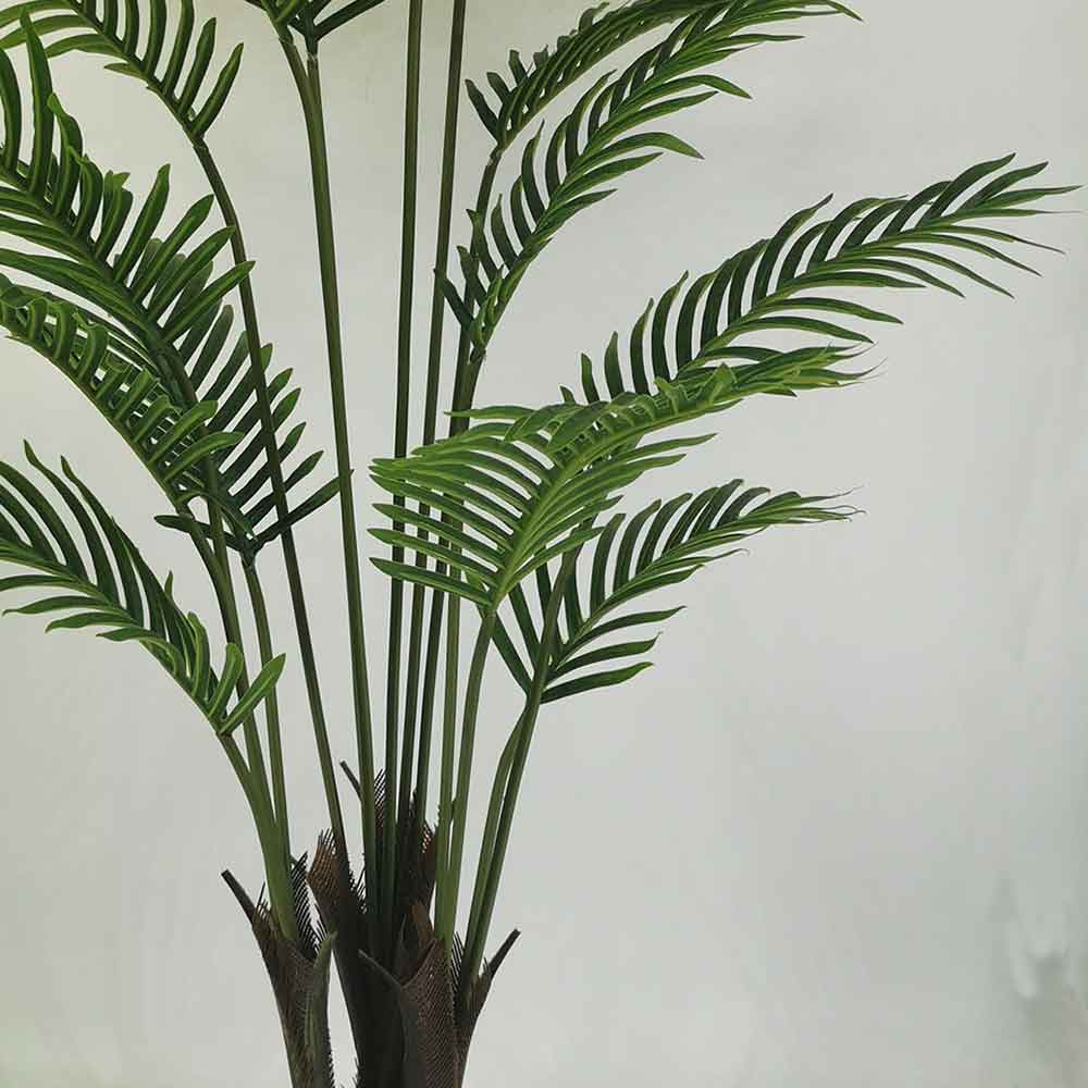 MC21-7998T Areca Palm