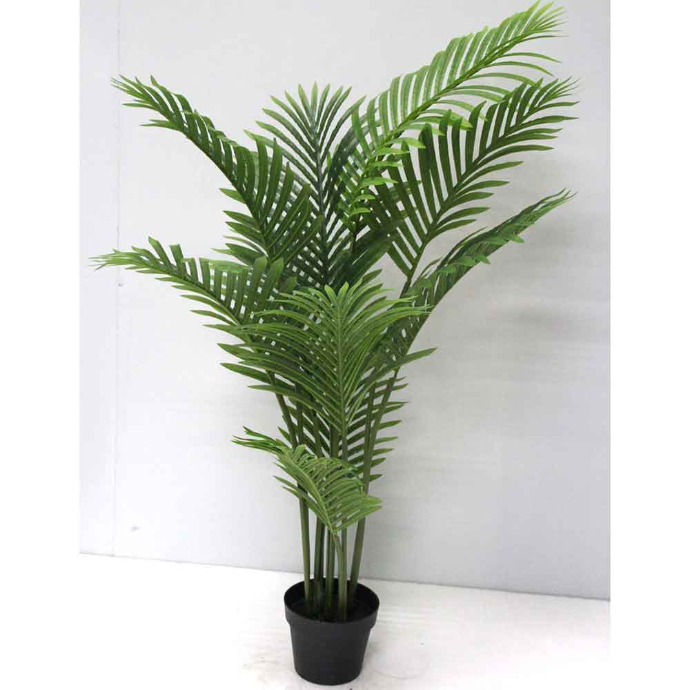 MC2738 Areca Palm