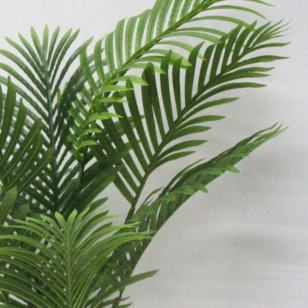 MC2738 Areca Palm