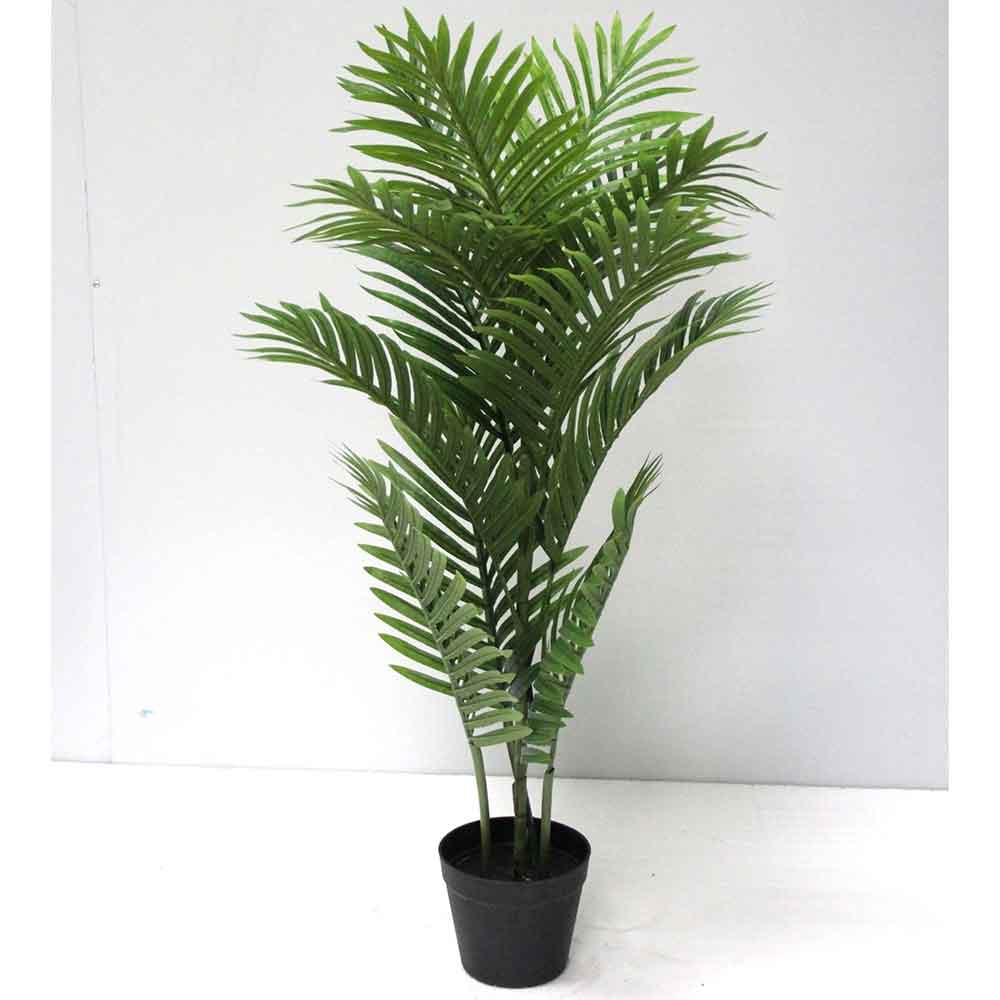 MC2739 Areca Palm