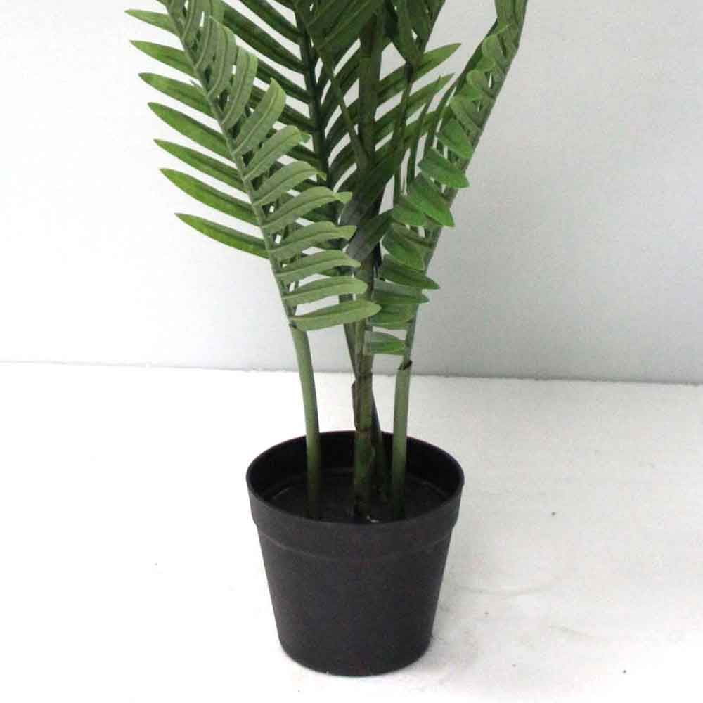 MC2739 Areca Palm