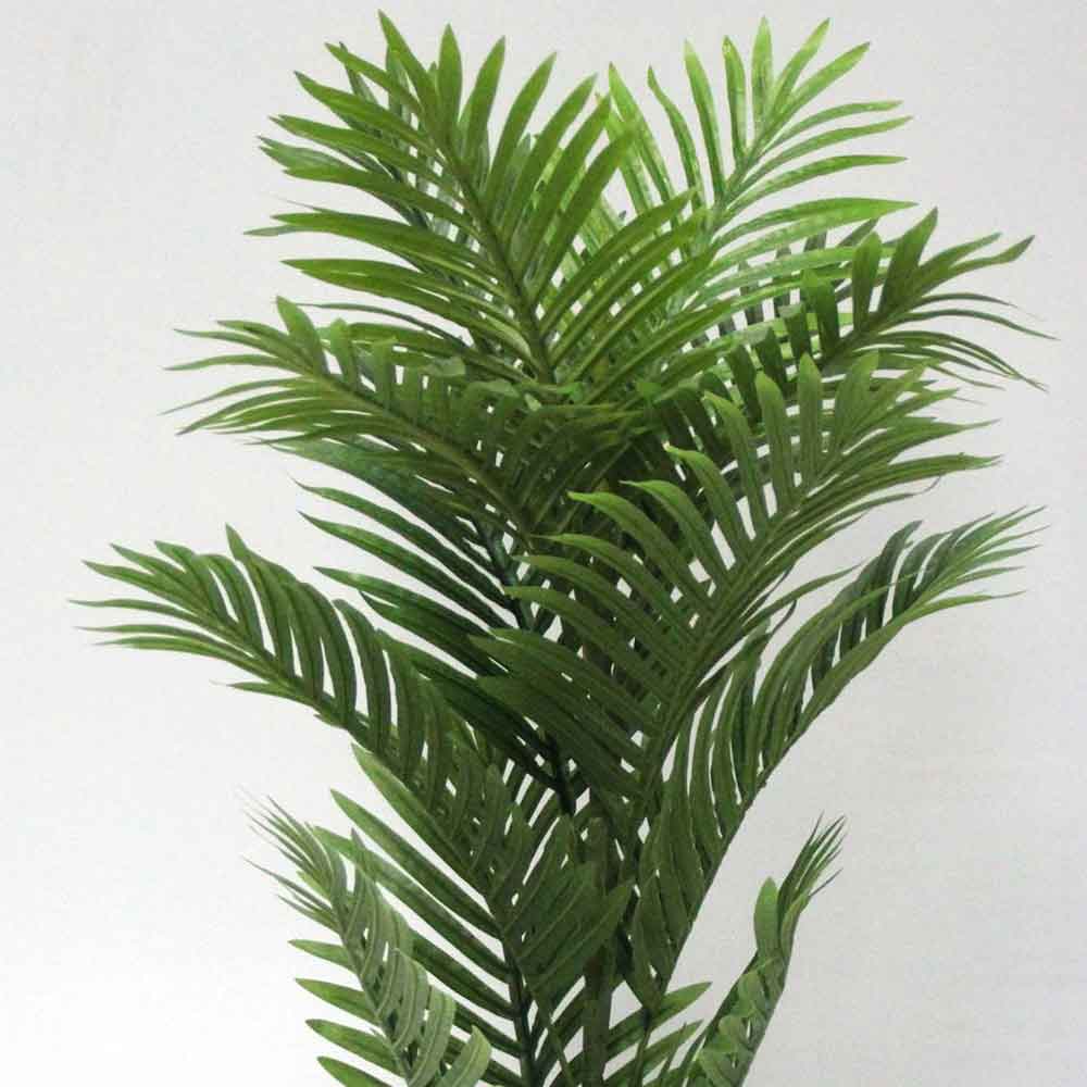 MC2739 Areca Palm