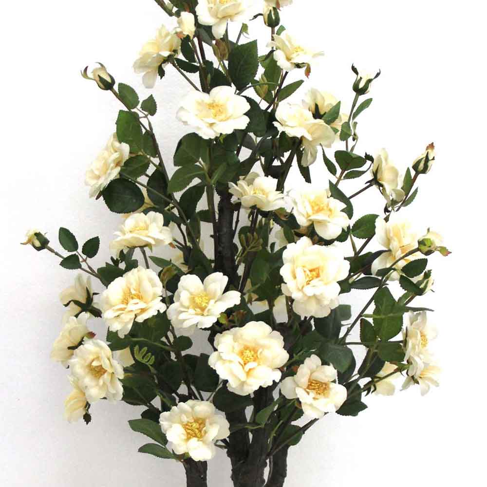 MC2759 Camellia