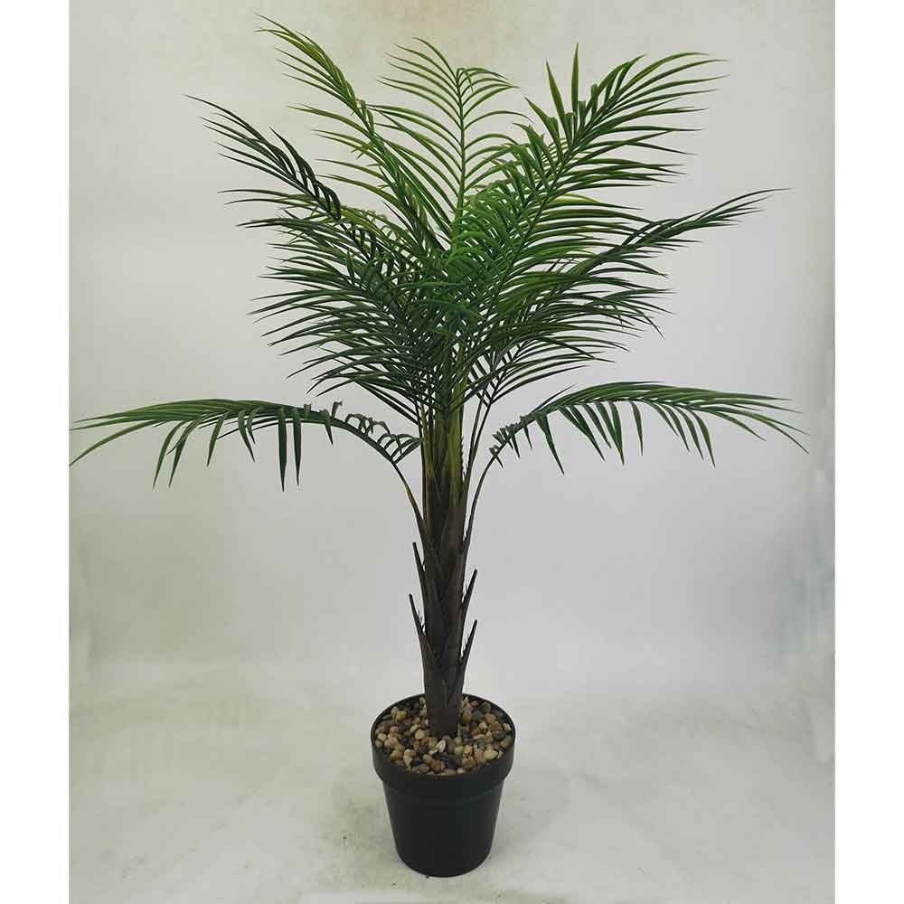 MC22-11794J Phoenix palm