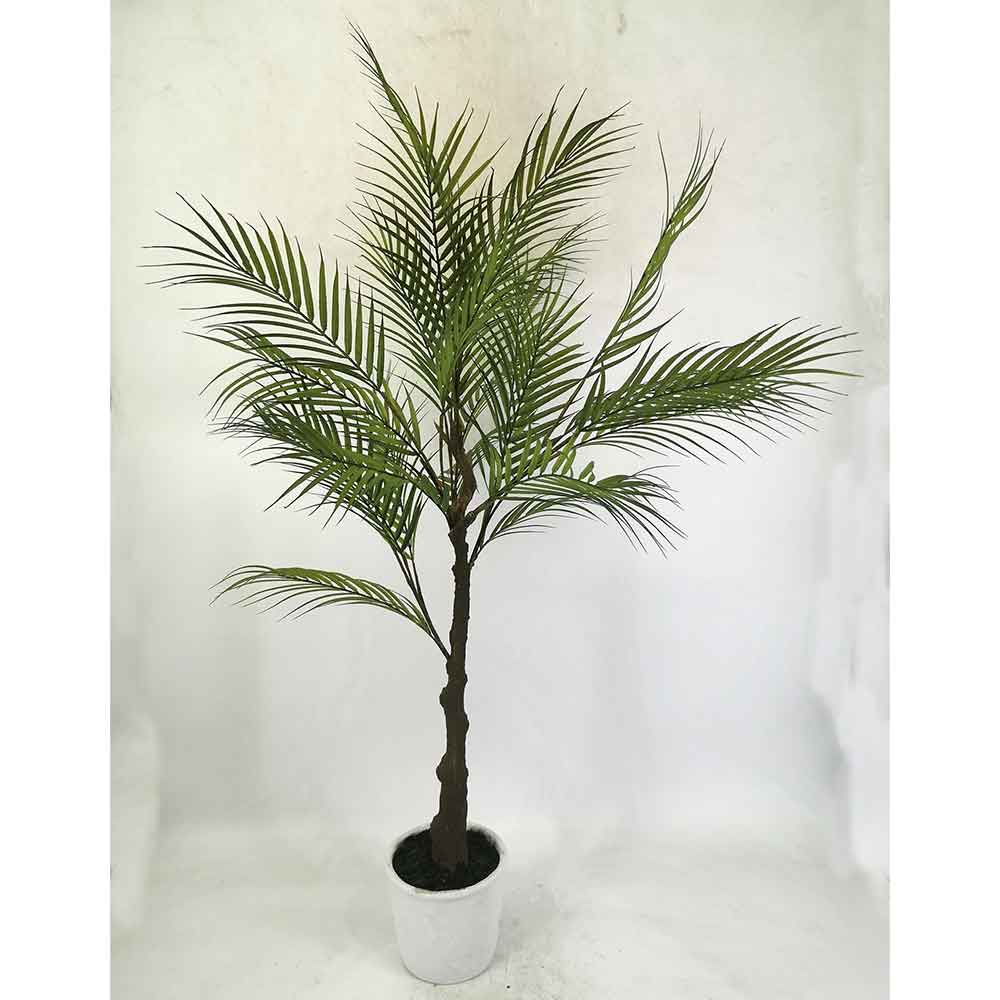 MC22-11796S Phoenix palm