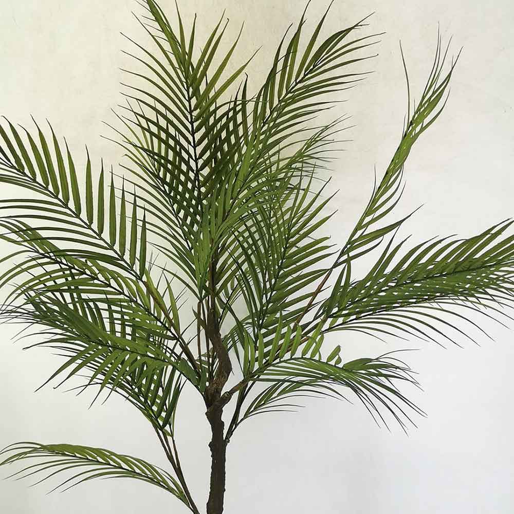 MC22-11796S Phoenix palm