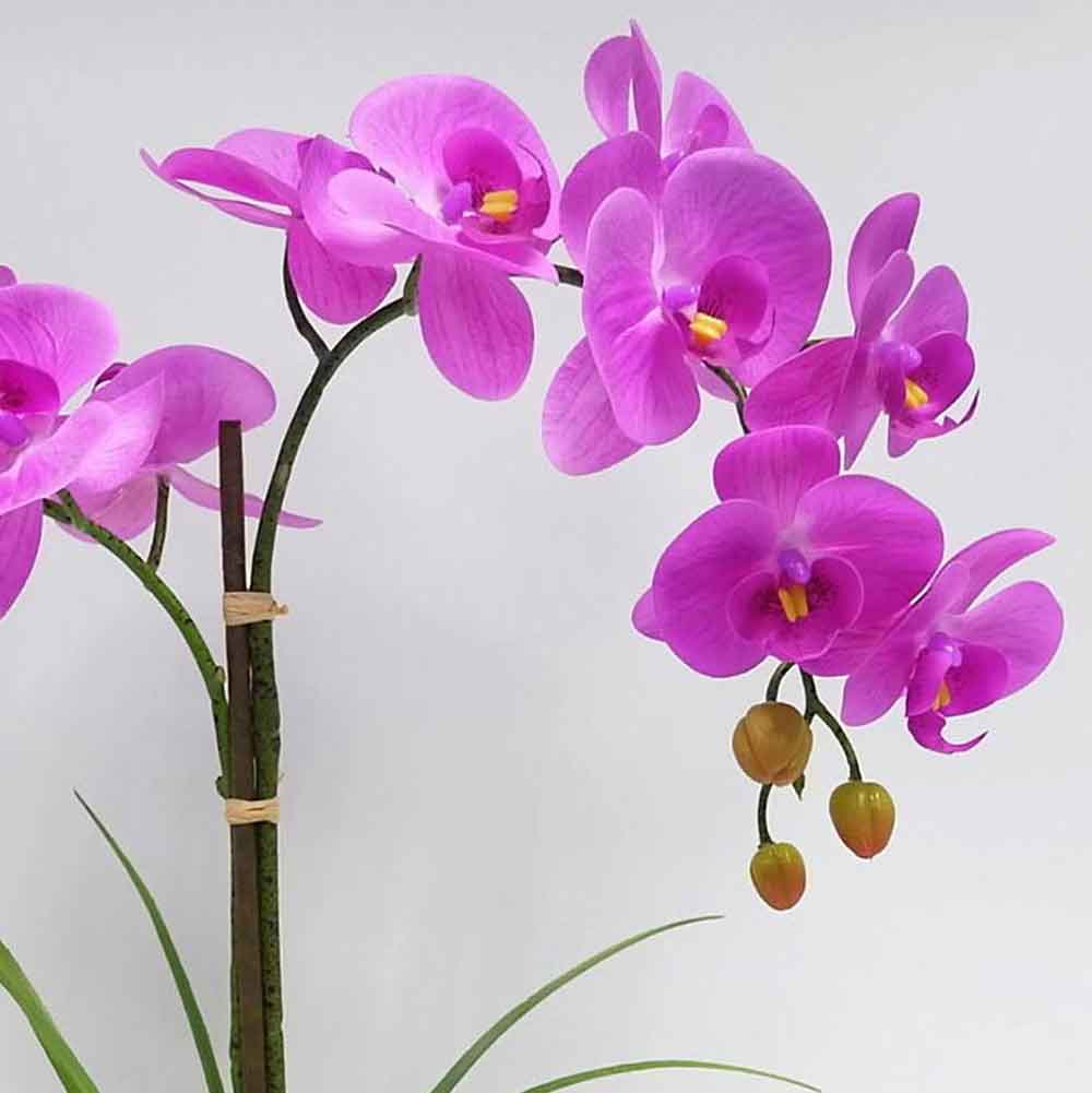 MC19-7320P Orchid