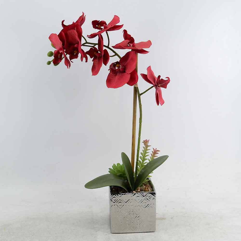 MC19-7359P Orchid