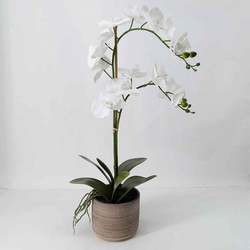 MC19-7939S Orchid