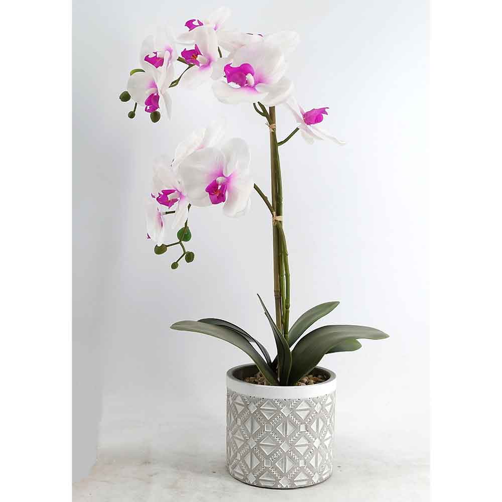 MC19-8440S Orchid