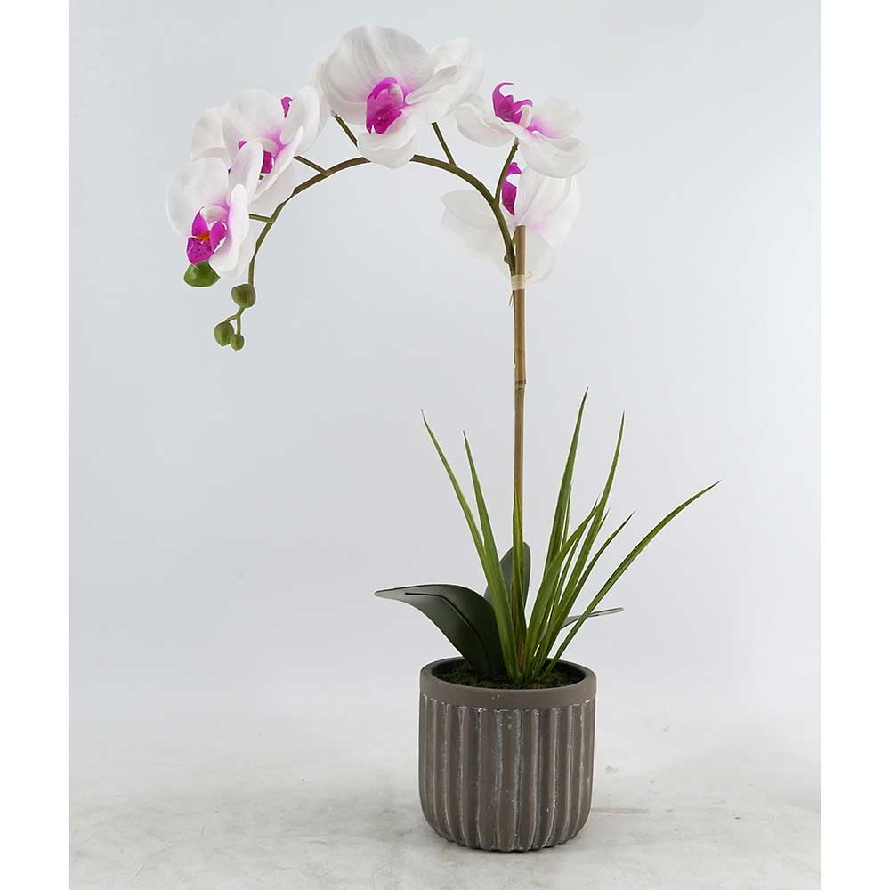 MC20-8467S Orchid