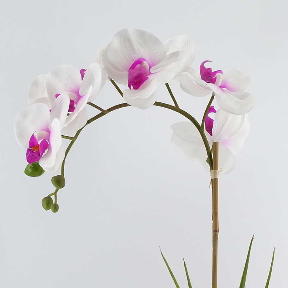 MC20-8467S Orchid