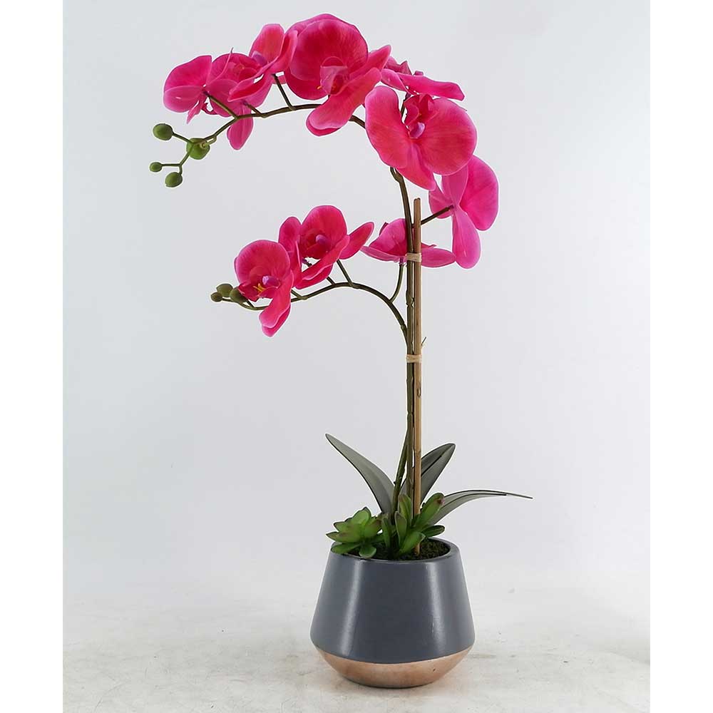 MC20-8468P Orchid