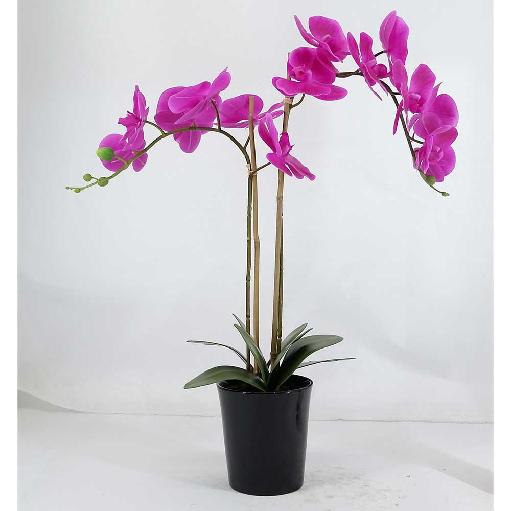 MC20-8942P Orchid