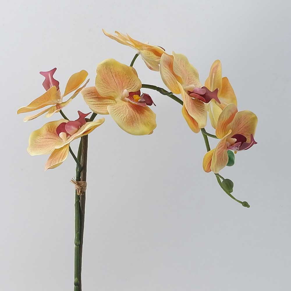 MC21-10057S Orchid