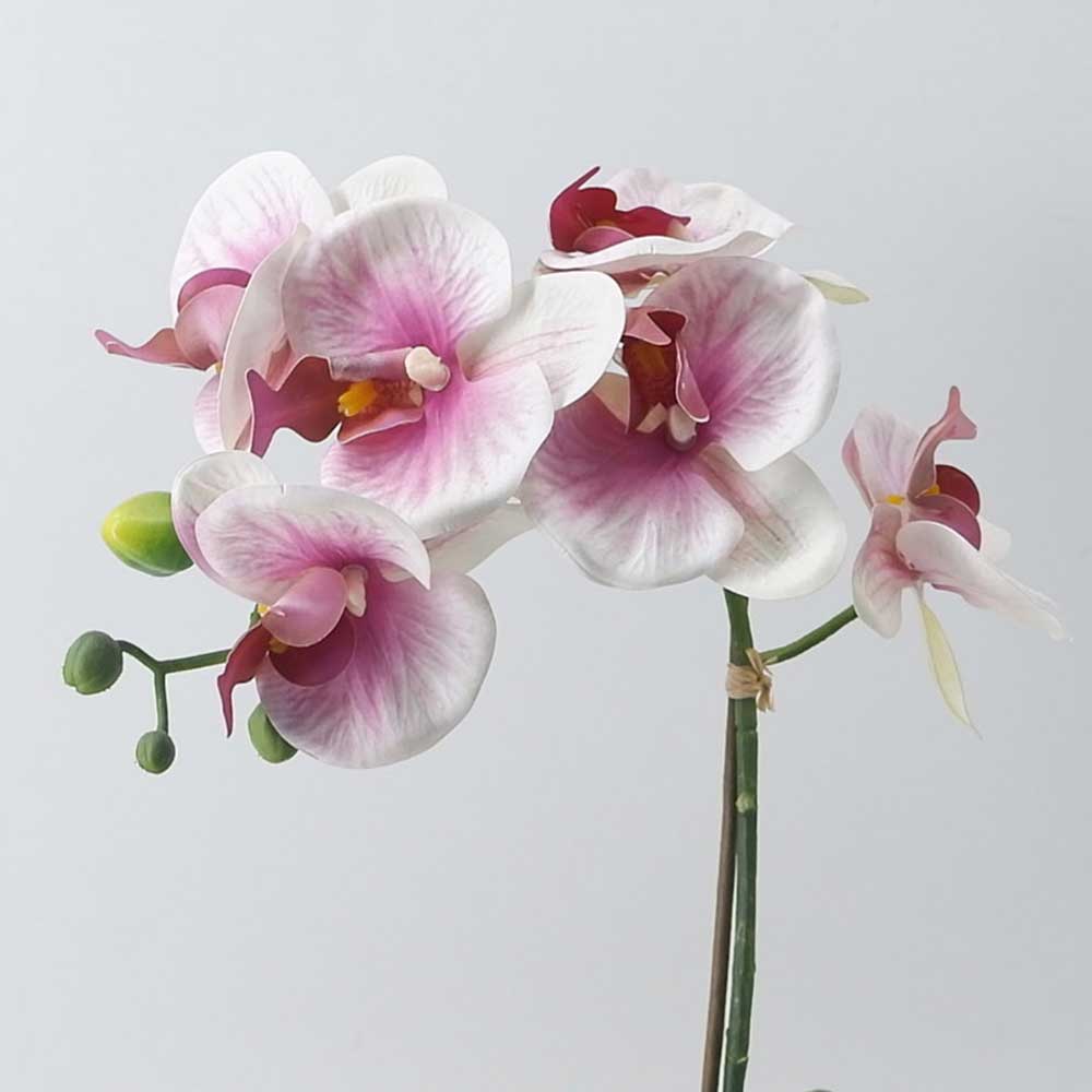 MC21-10058S Orchid