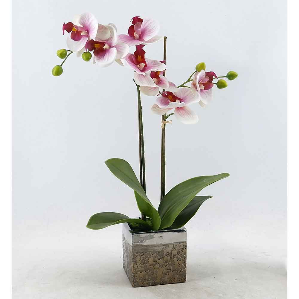 MC21-11176P Orchid