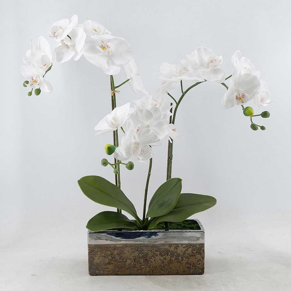 MC21-11179P Orchid