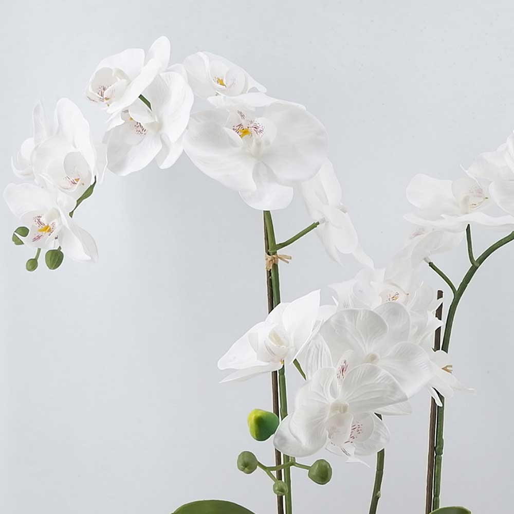 MC21-11179P Orchid