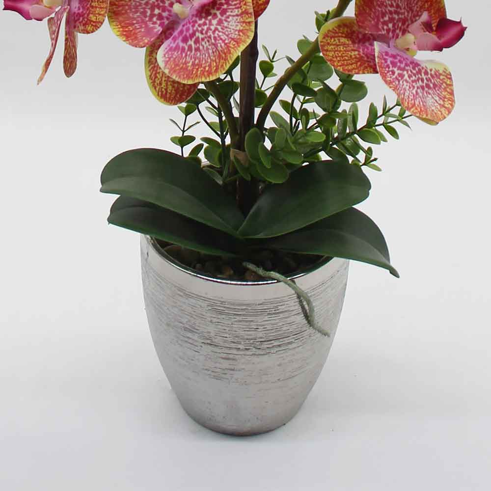 MC2870 Orchid