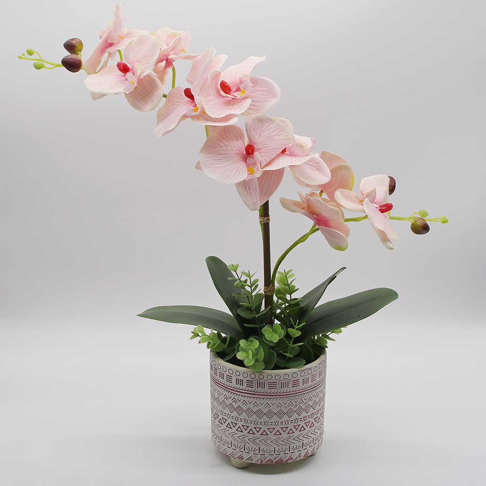 MC2874 Orchid