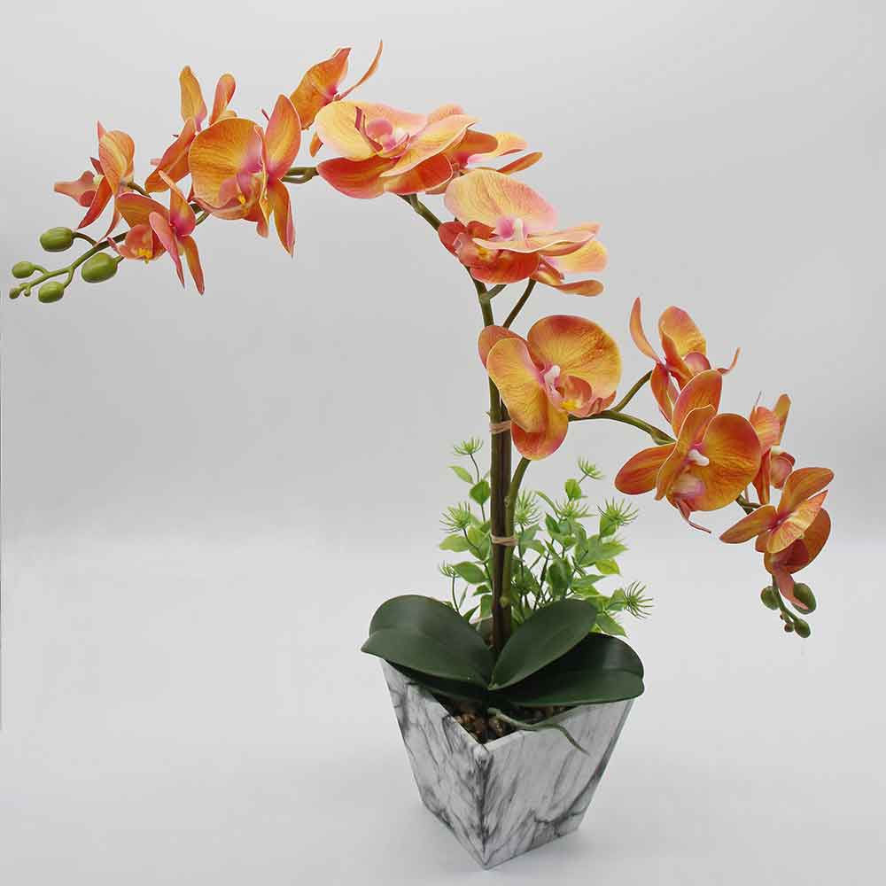 MC2877 Orchid