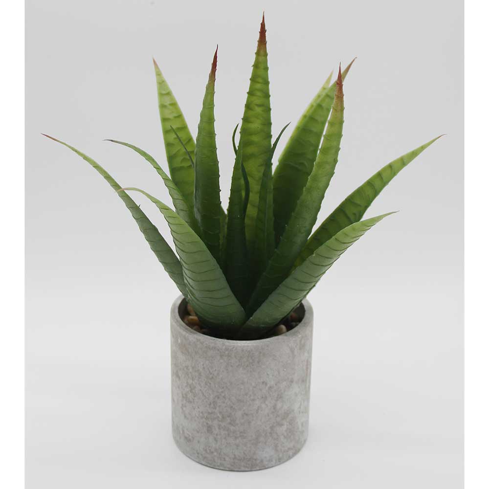 MC2940 Aloe