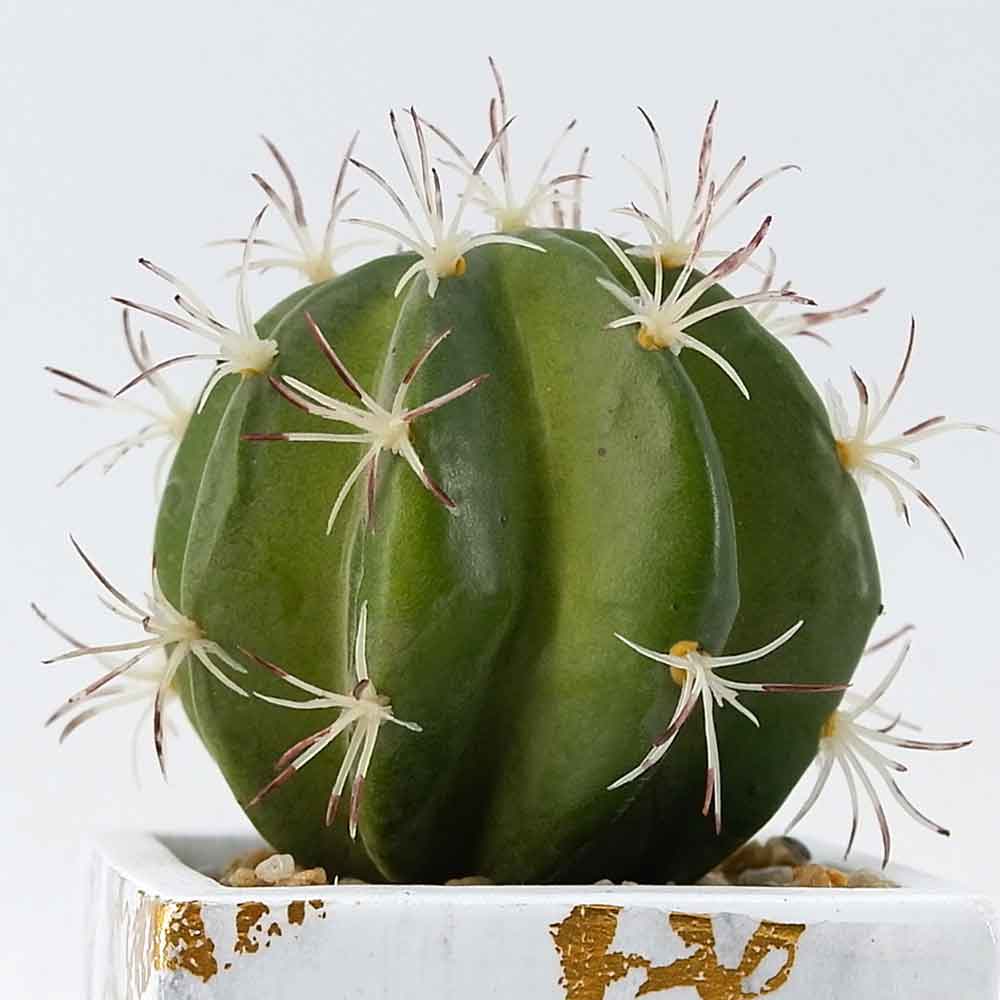 MC20-8784S Cactus