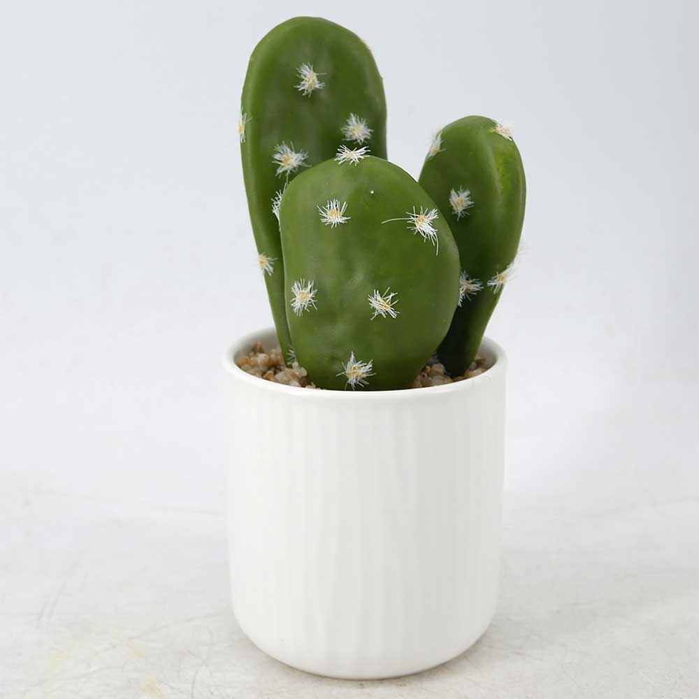 MC20-9343P Cactus