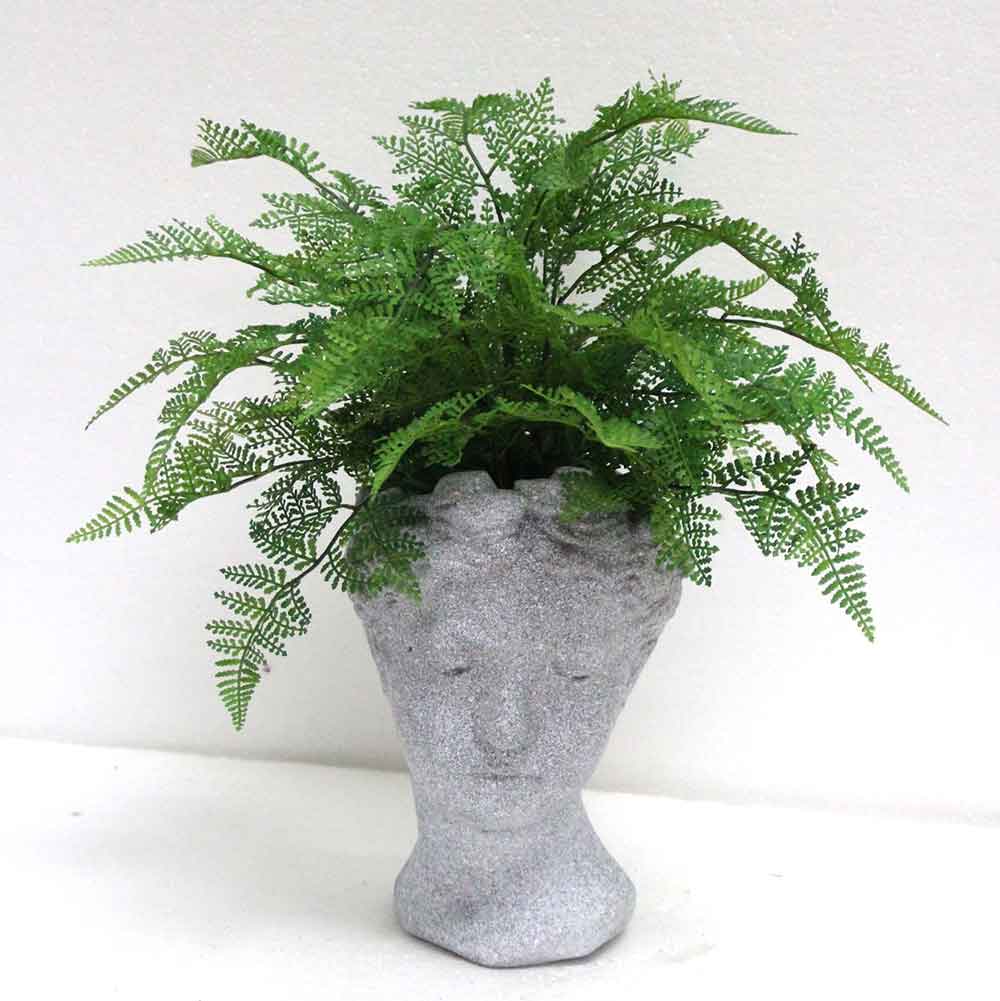 MC2763 Fern