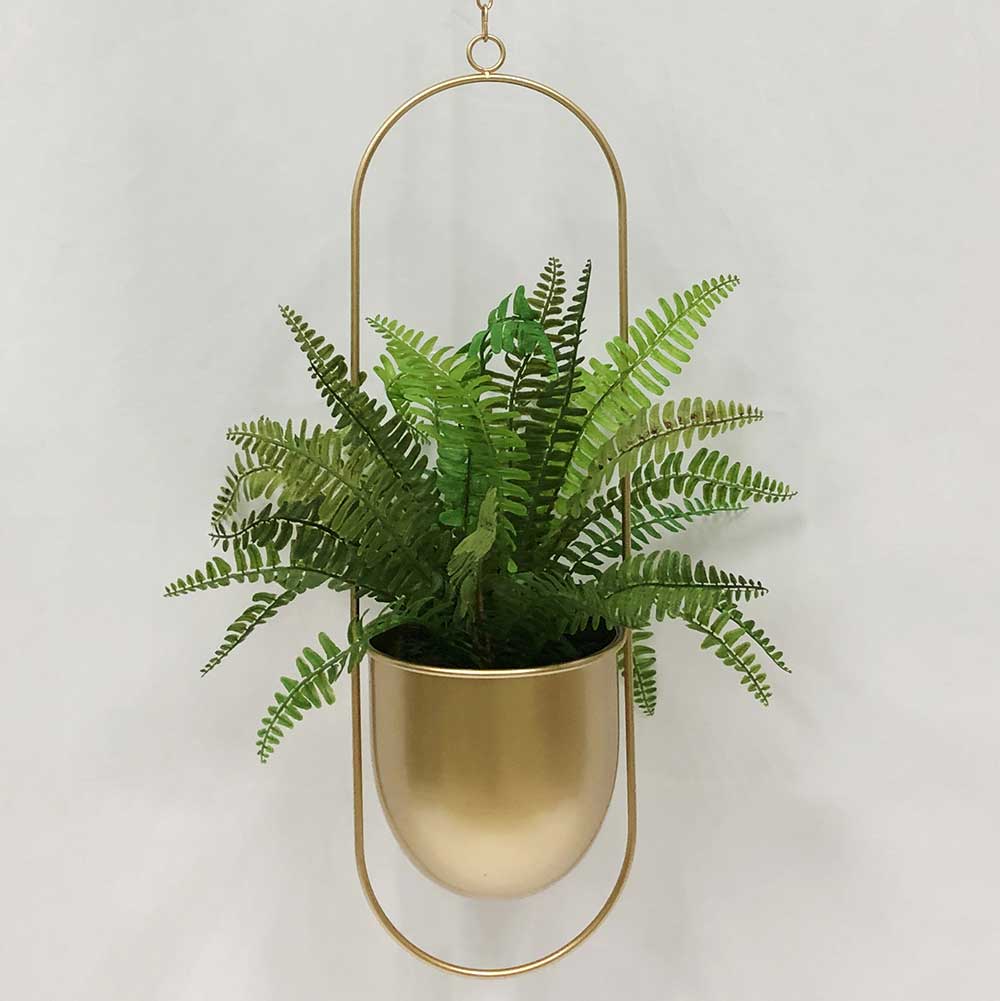 MC2891 Fern