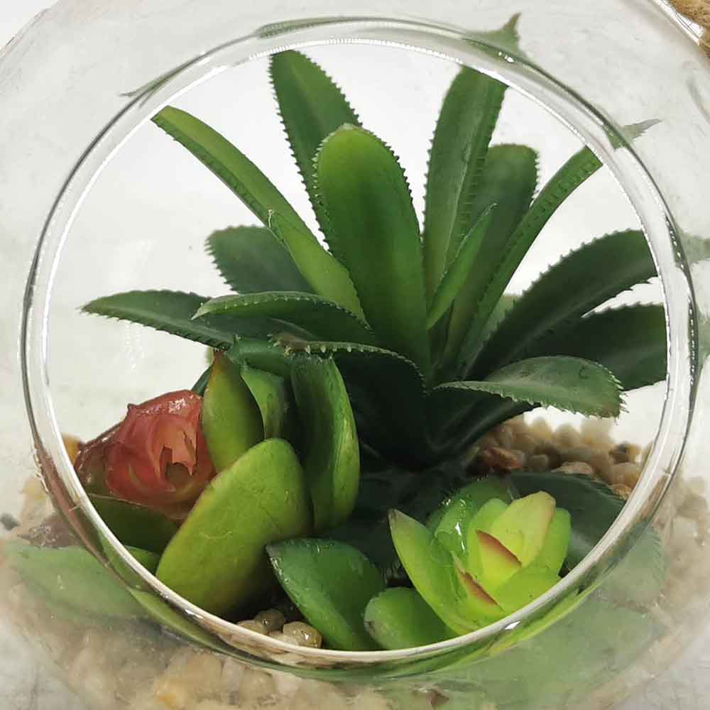 MC15-1024B Mixed succulent